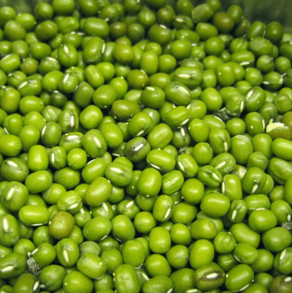 Tuyển chọn hạt giống
